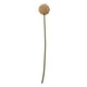 image 4 of Hill Interiors Allium Stem Artificial Plant - Pink - 75cm