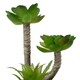 image 2 of The Greenery Artificial Succulent Plant