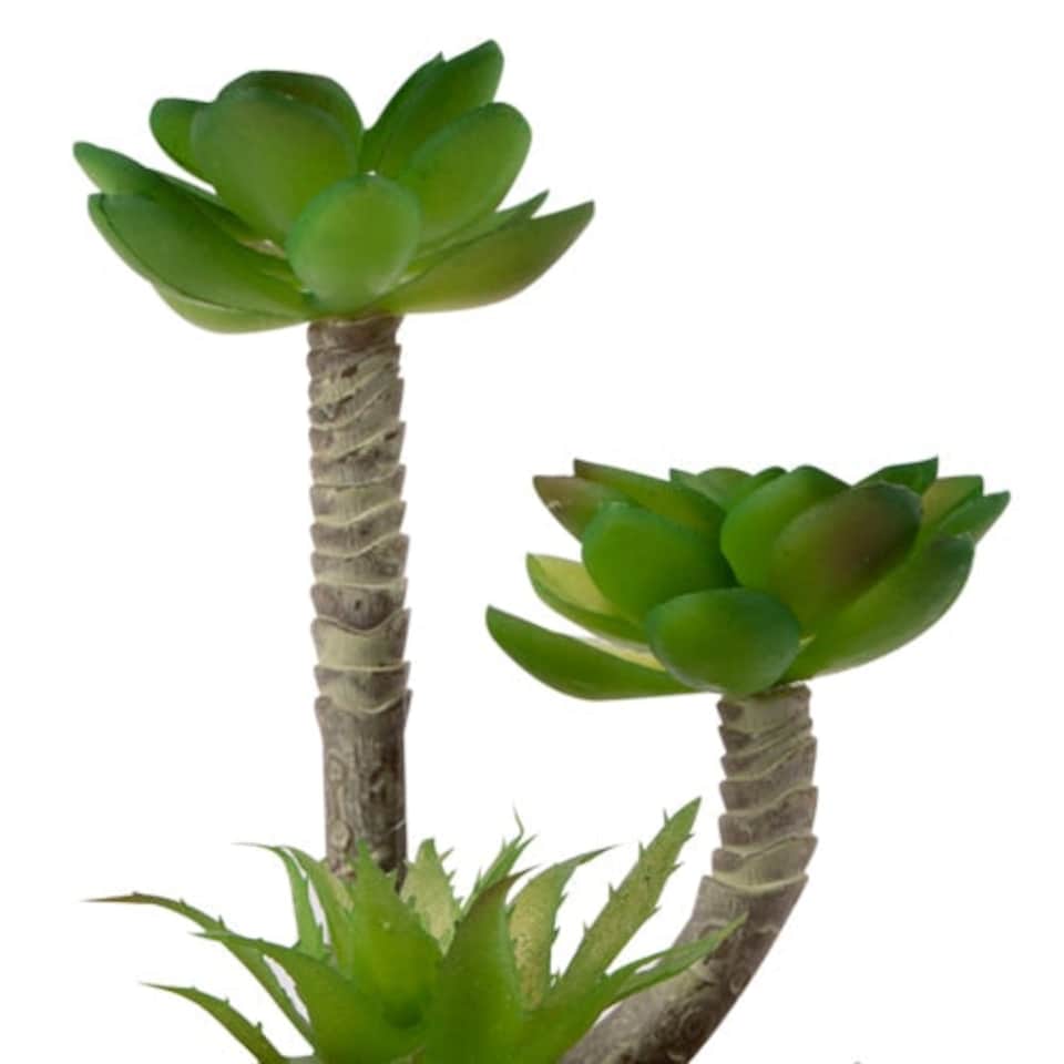 image 1 of The Greenery Artificial Succulent Plant