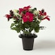 image 3 of Homescapes Artificial Poinsettia, Holly and Robin Grave Vase