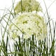 image 2 of Large Allium Plant in Pot - Plastic - L22 x W22 x H120 cm - White