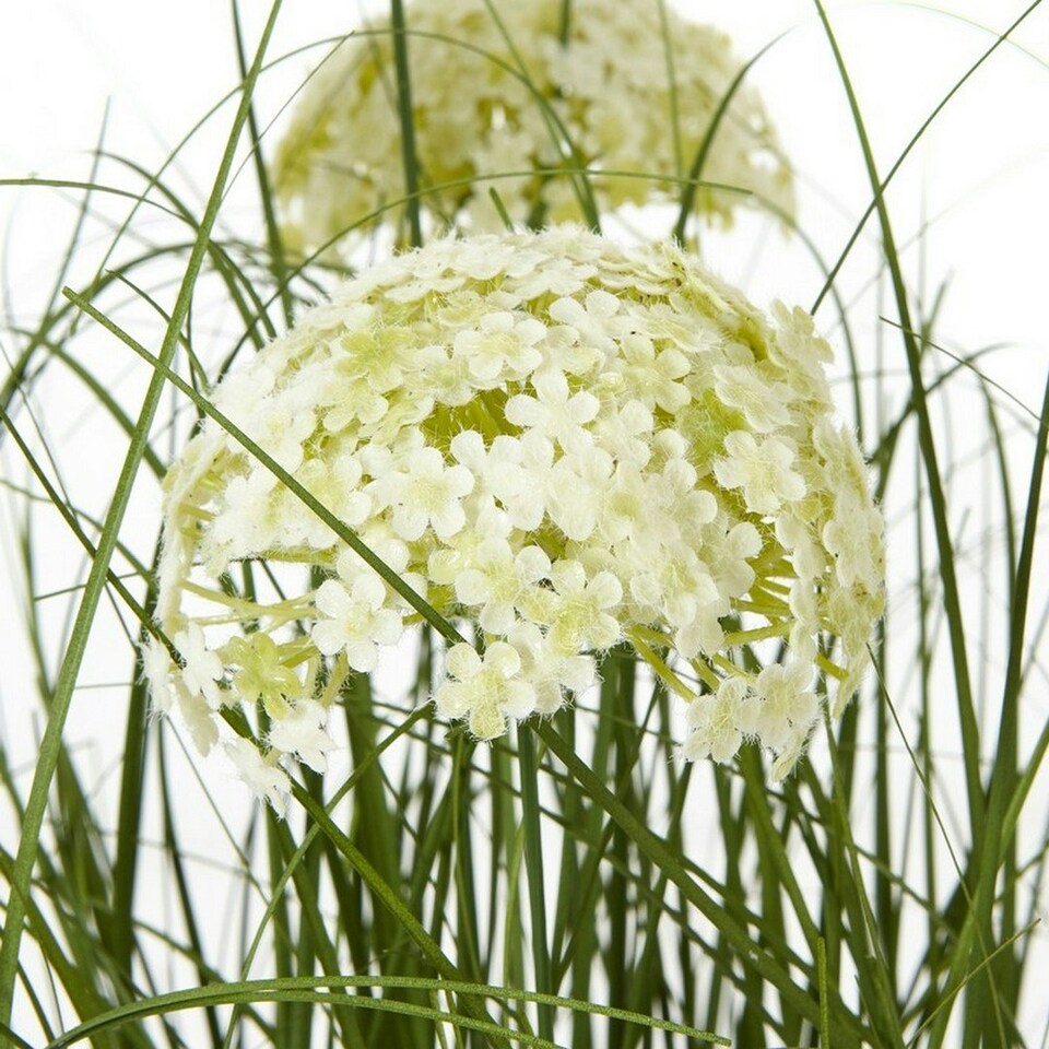 image 1 of Large Allium Plant in Pot - Plastic - L22 x W22 x H120 cm - White