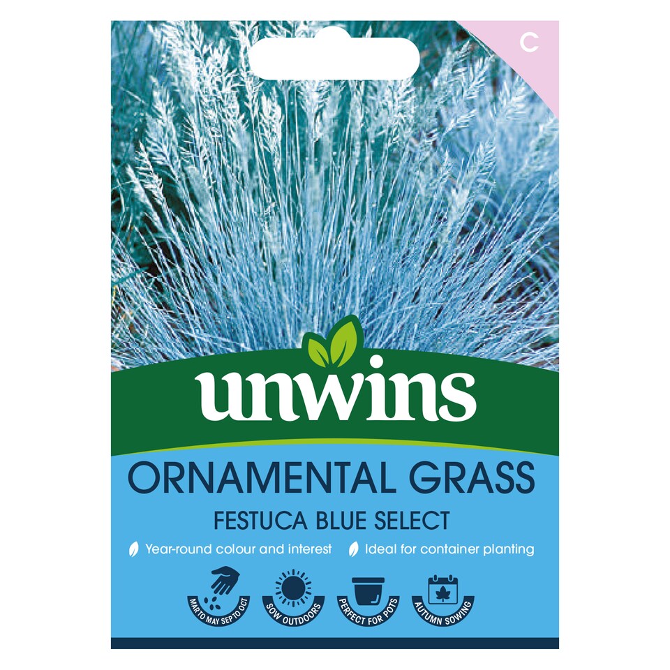 image 1 of Ornamental Grass Festuca Blue Select | Multi | Blue, White | Flower Seeds | 1