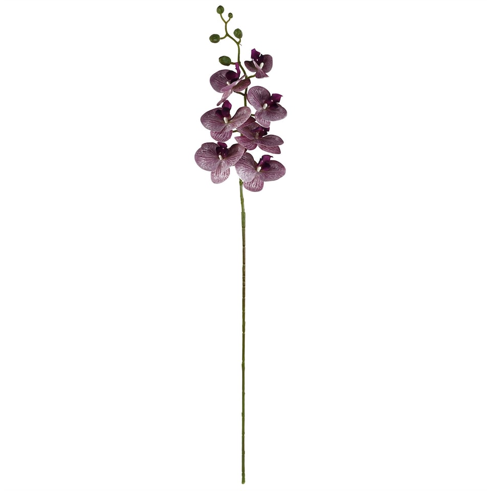image 1 of 70cm Grey Glass Vase Artificial Orchids and Roses