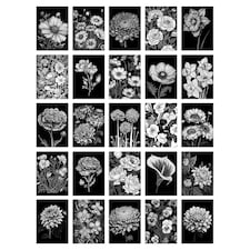 Flower Floral Aesthetic Black White Wall Art Set of 50 Unframed A6 Prints