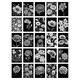 image 1 of Flower Floral Aesthetic Black White Wall Art Set of 50 Unframed A6 Prints
