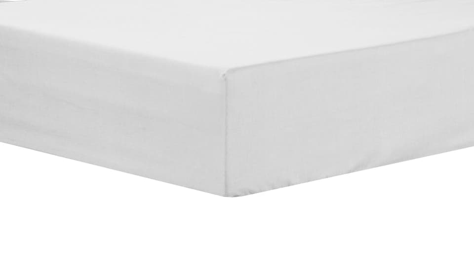 Basics Fitted Sheet in White - Double | Multi | Double