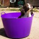 image 4 of Red Gorilla - Gorilla Tub 75L - Flexible Multi-Use Bucket | Red