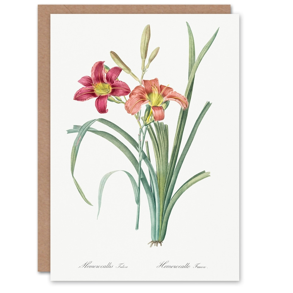 image 1 of Pierre-Joseph Redouté Art Card Orange Day Lily Vintage Floral