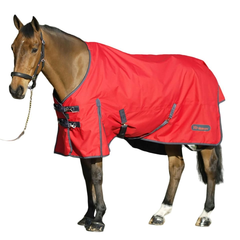 Whitaker Rastrick Standard-Neck Horse Turnout Rug - Red - 6´ 3"