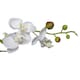 image 3 of Artificial Orchid Flower in Pot 60cm White