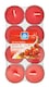 image 2 of Pack of 48 Apple and Cinnamon Tea Lights