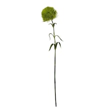 Hill Interiors Dianthus Artificial Plant - Light Green - 53cm