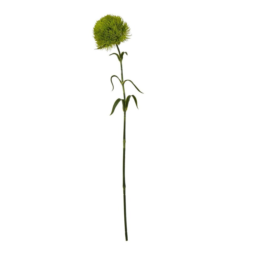image 1 of Hill Interiors Dianthus Artificial Plant - Light Green - 53cm