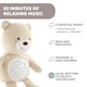 image 3 of Chicco First Dreams Baby Bear Plush