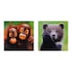 image 6 of National Geographic Photographic Animals Pack of 10 in 5 Designs Birthday Thank You Blank Cards