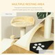 image 5 of PawHut Cat Tree Scratching Post Activity Centre Climber Hanging Ball Beige