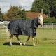 image 3 of Rhinegold Elite Full Neck Montpelier Rug Black | Colour: Black/White Check
Size: 7ft 0