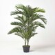image 5 of Homescapes Areca Palm Tree in Pot, 120 cm Tall