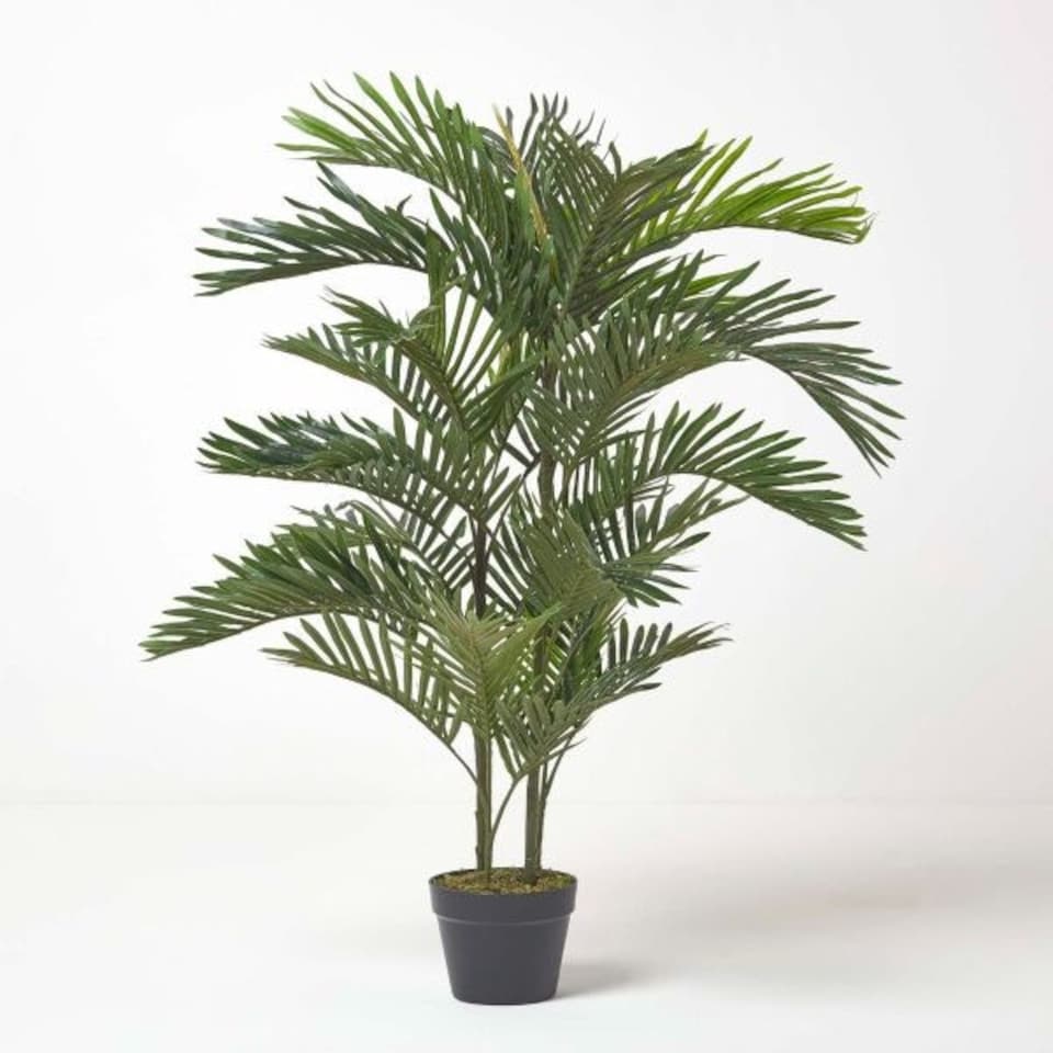 image 1 of Homescapes Areca Palm Tree in Pot, 120 cm Tall