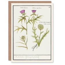 Anselmus de Boodt Art Card Thistle and Artichoke Flowers