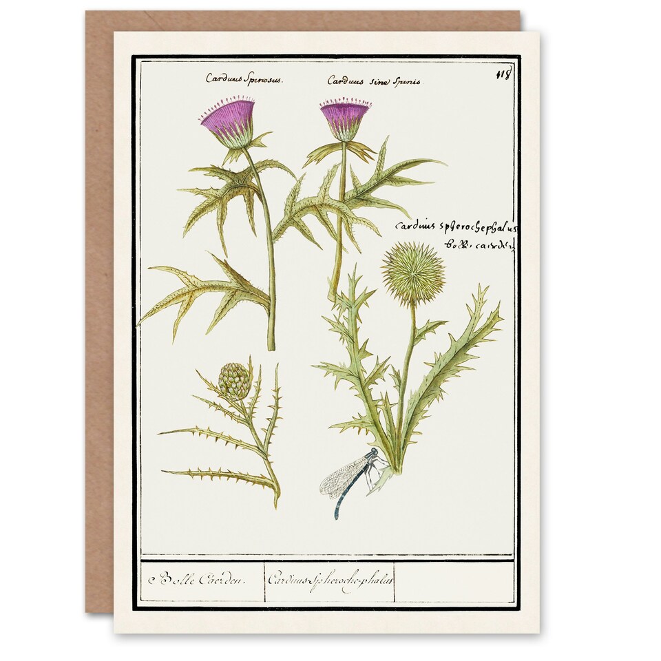 image 1 of Anselmus de Boodt Art Card Thistle and Artichoke Flowers