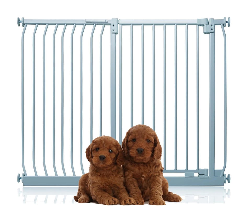 image 1 of Bettacare Extra Tall Elite Dog Gate, 134cm - 143cm, Matt Grey, Extra Tall 96.8cm in Height, Pressure Fit Pet Gate | Grey