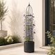 image 3 of Garden Obelisk for Climbing Plants 220cm 7ft - Metal Plant Cage Support Trellis Rose Tower for Flowers, Patio Pots, Shrub, Borders