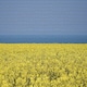 image 4 of Peace and Prosperity- Impuzzible 1000 Piece Jigsaw puzzle