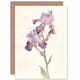 image 1 of Violet Iris Spring Flower Bloom Soft Watercolour Floral Greeting Card