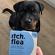 image 5 of Itch Flea Medium Dog Flea & Tick Spot On Treatment 4 Pipette (10-20kg)