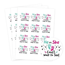 Can't Wait to See Gender Reveal Round Stickers 60mm - Sheet of 12