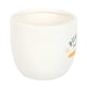 image 1 of Something Different Bunny Treats Ceramic Pot - White/Orange/Green - One Size