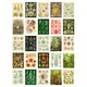 image 1 of Botanical Aesthetic Haeckel Colourful Art Set of 50 Unframed A6 Prints
