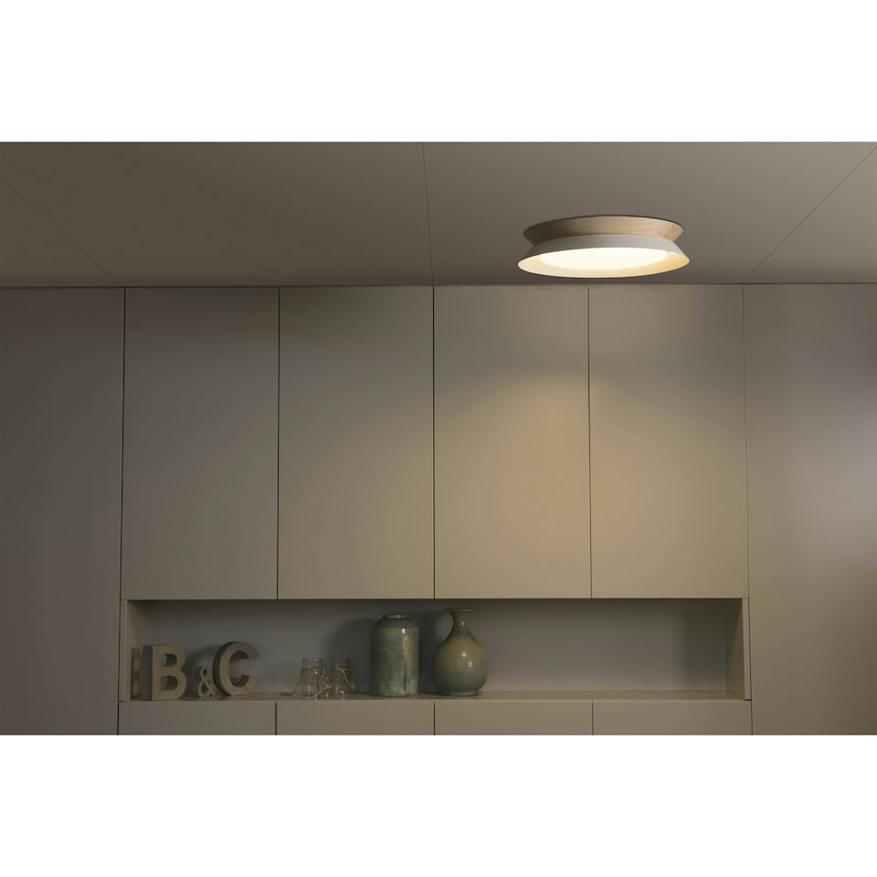 image 1 of Tender Led Flush Ceiling Lamp White 24W 3000K