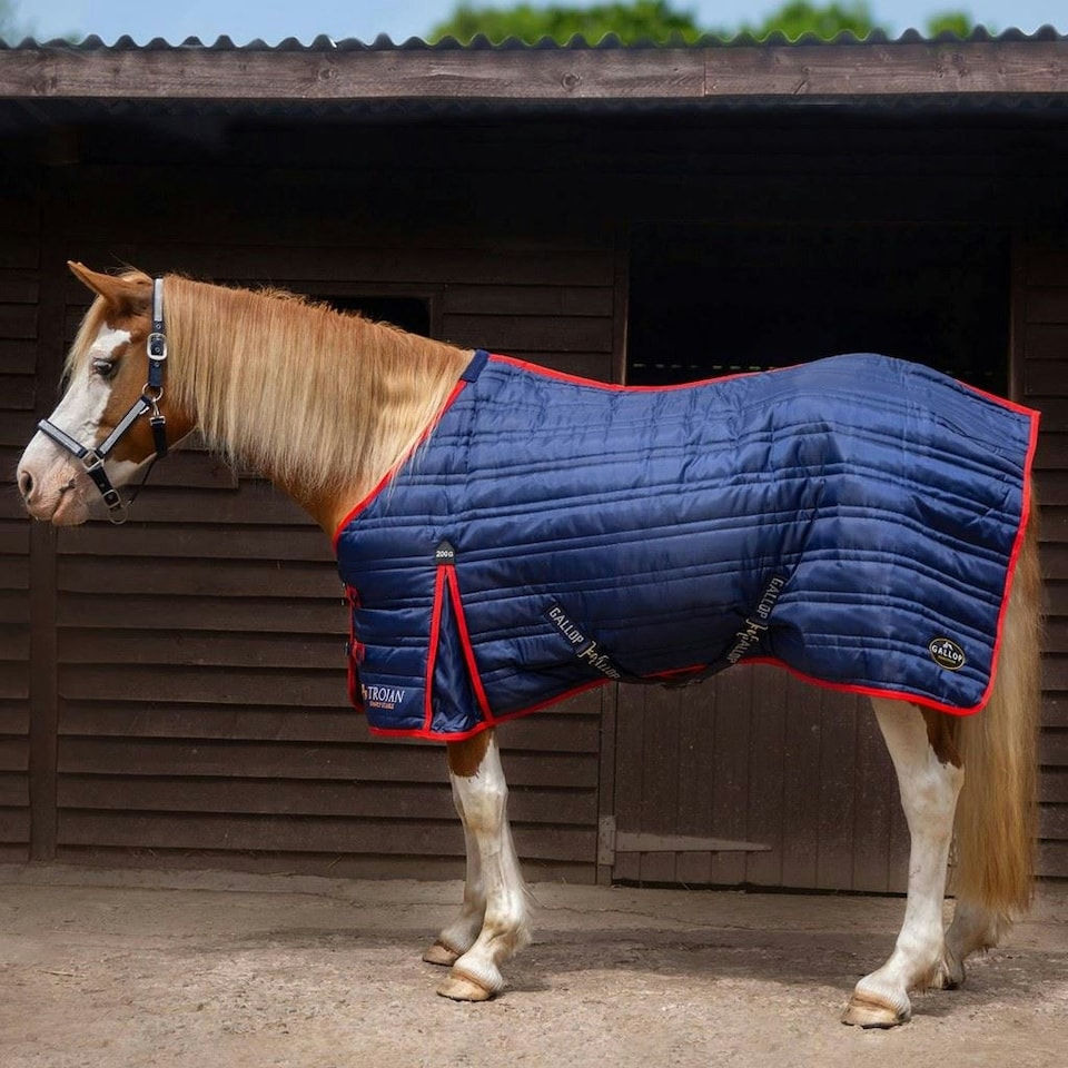 image 1 of Gallop Equestrian Trojan 200G Stable Rug Blue | Size: 5ft 9
Colour: Navy