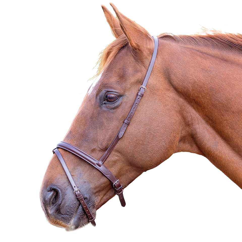 Blenheim Leather Horse Flash Noseband | Multi | Havana | Cob | 1