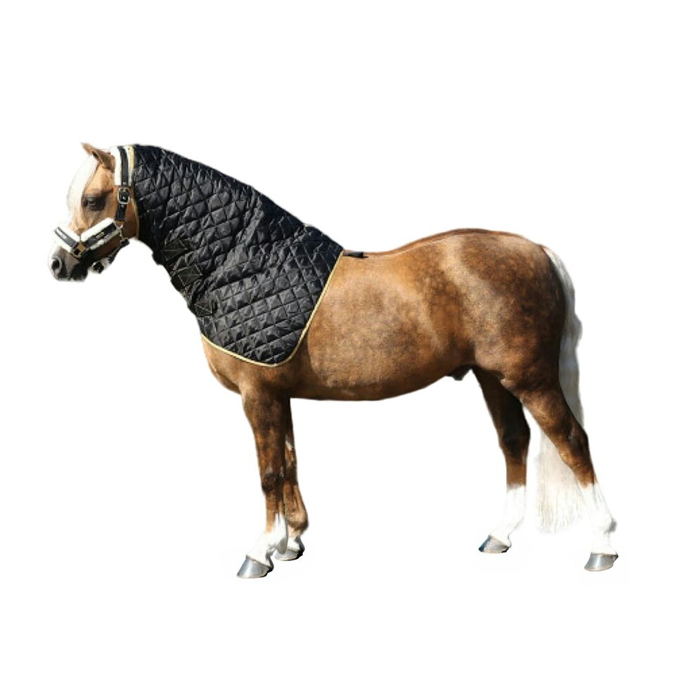 Supreme Products Show Quilted Horse Hood - Black/Gold - 15.2 Hands