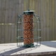 image 7 of Samuel Alexander Metal Hanging Bird Nut Feeder with Squirrel Guard