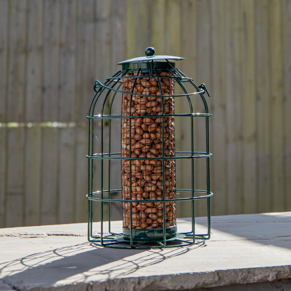image 1 of Samuel Alexander Metal Hanging Bird Nut Feeder with Squirrel Guard
