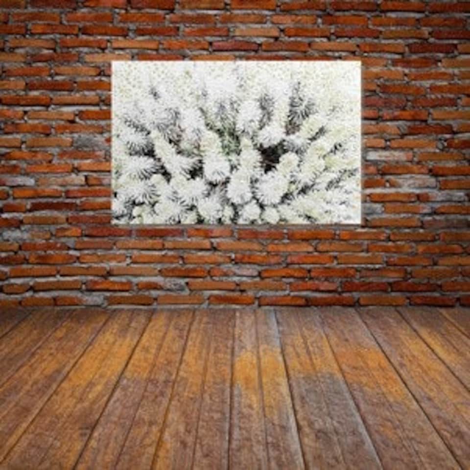 image 1 of Beautifully White (Canvas Print) 24" x 16"