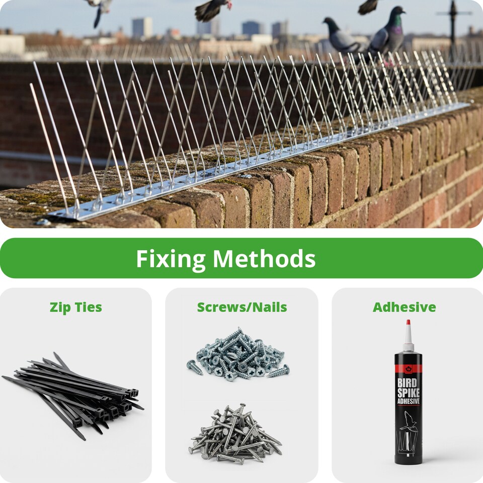 image 1 of SPARES2GO Bird Fence Spikes Pigeon Squirrel Cat Rodent Stainless Steel Metal 10m Deterrent Repellent Easy Install