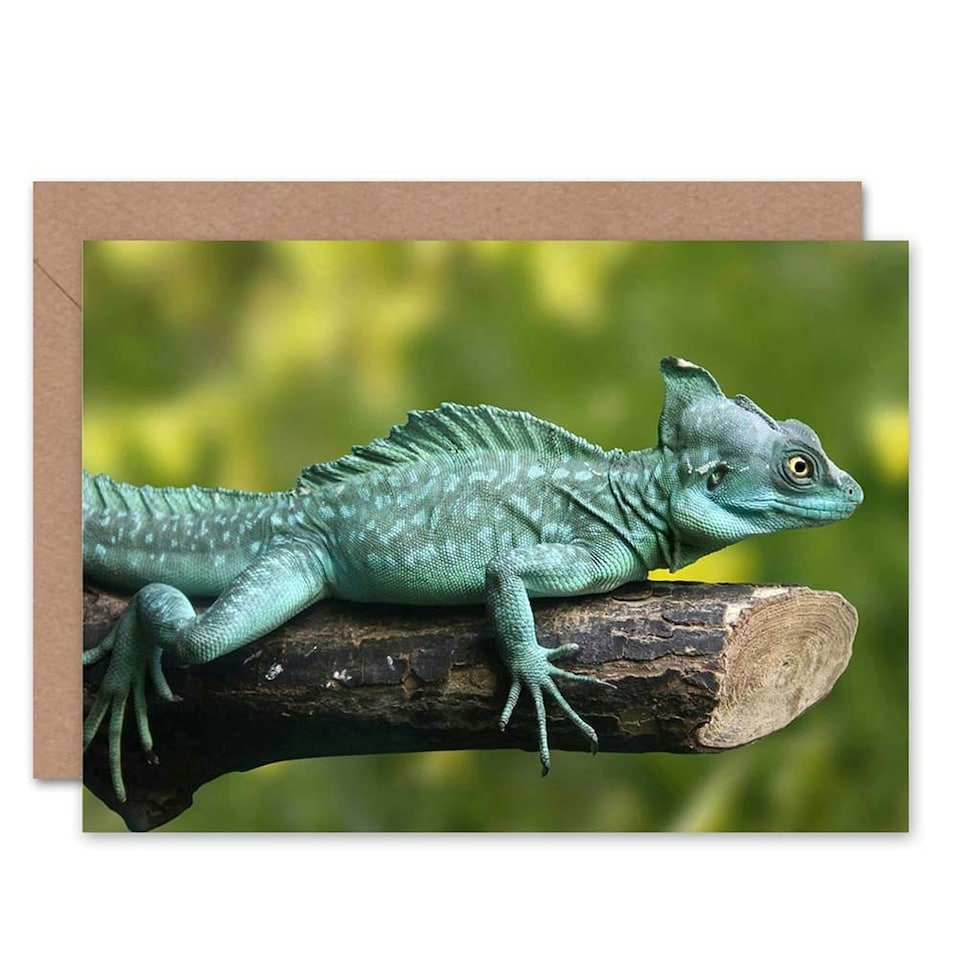 image 1 of Plumed Basilisk Lizard Reptile Animal Photograph Nature Greeting Card