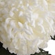 image 5 of Large Chrysanthemum Artificial Flower - Fabric/Plastic - L15 x W15 x H87 cm - White