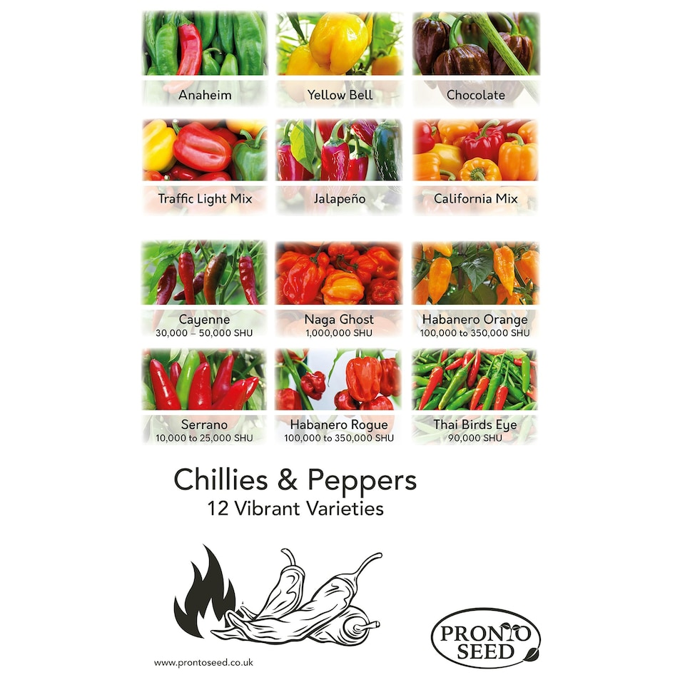 image 1 of Pronto Seed Chilli & Sweet Pepper Seeds Variety Pack – 12 Types, 110 Seeds for Home Growing