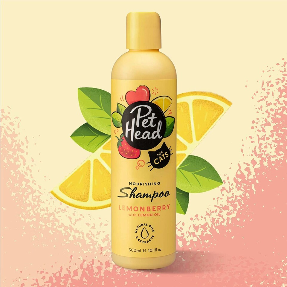 image 1 of Pet Head Felin' Good N/A | Size: Foam