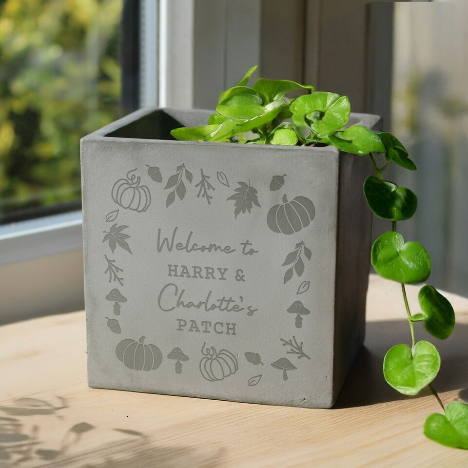 image 1 of Personalised Pumpkin Concrete Plant Pot Grey