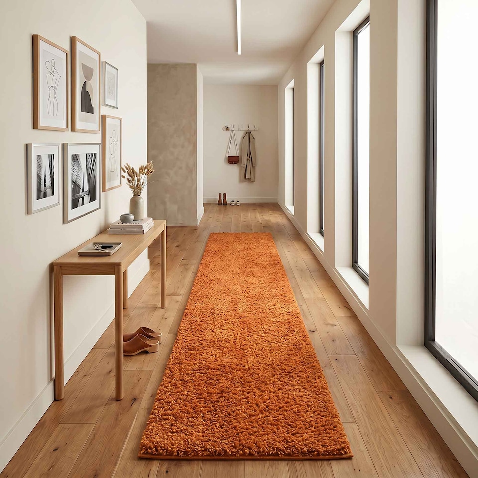 image 1 of Desire Rugs Ainsley Plain Living Room Shaggy Area Rug