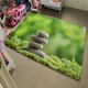 image 4 of Rock Garden Stones (Rug) Green | M