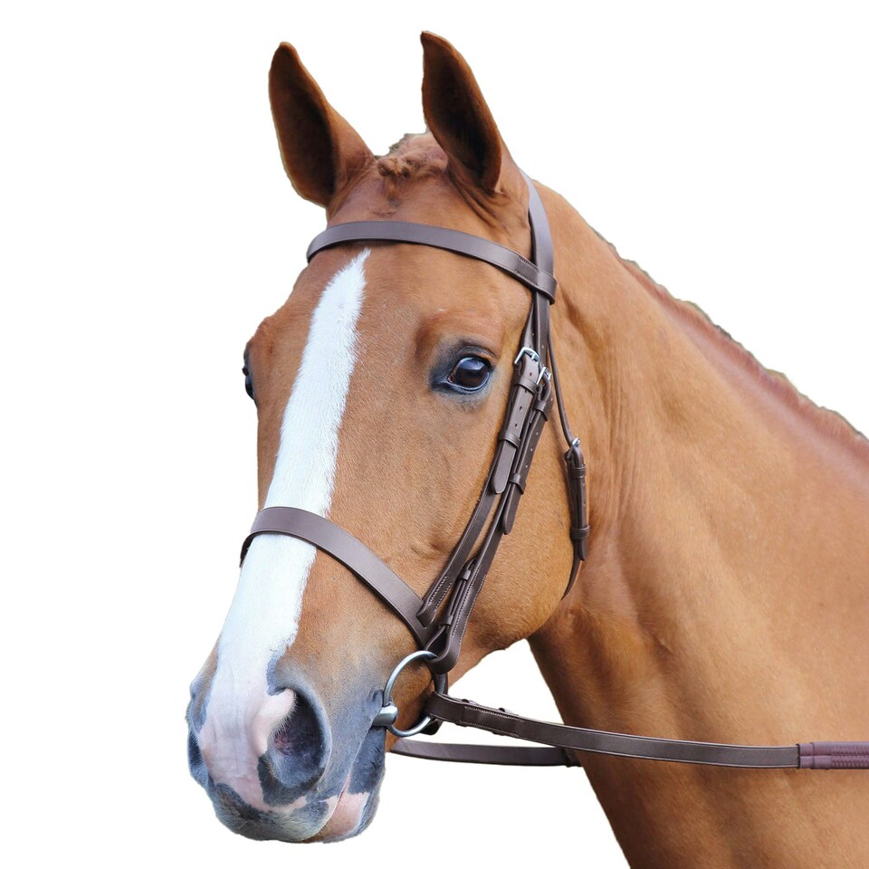 Aviemore Plain Leather Horse Bridle - Havana - Full